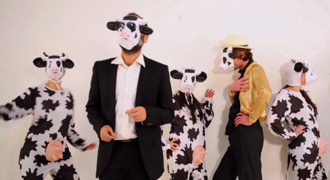 La vache en colère (2)