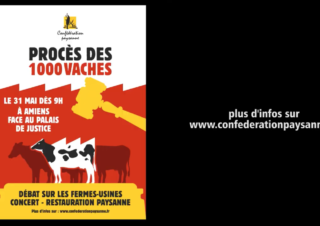4 question à Laurent Pinatel sur le procès des 1000 vaches